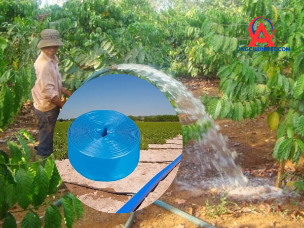 Ống bạt phi 100 tưới cà phê